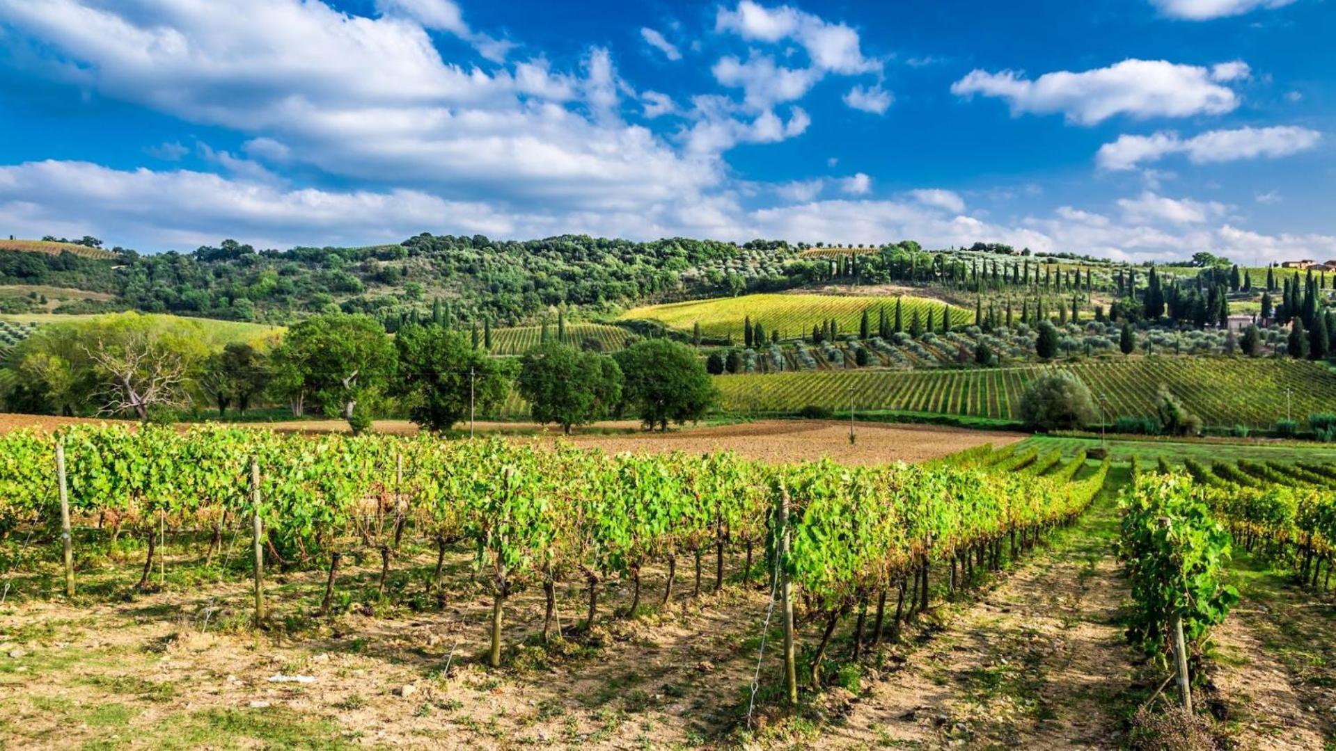 Terre Gialle - La Val D'Orcia Nascosta カステル・デル・ピアーノ エクステリア 写真