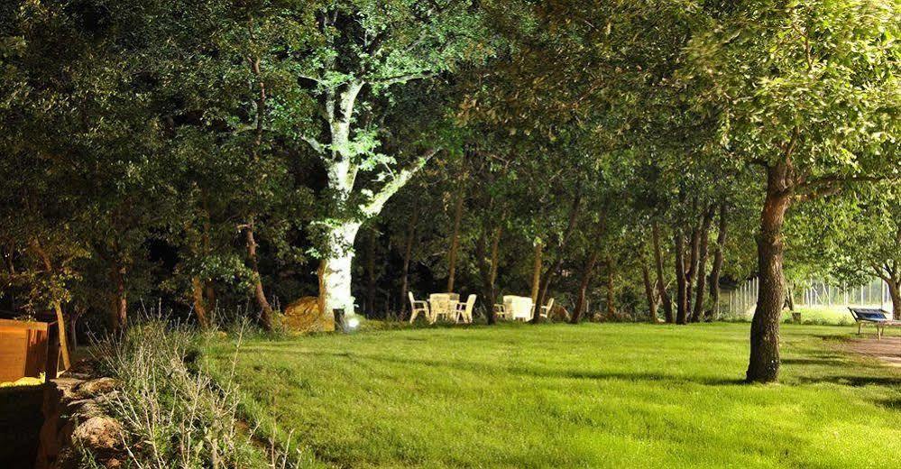Terre Gialle - La Val D'Orcia Nascosta カステル・デル・ピアーノ エクステリア 写真