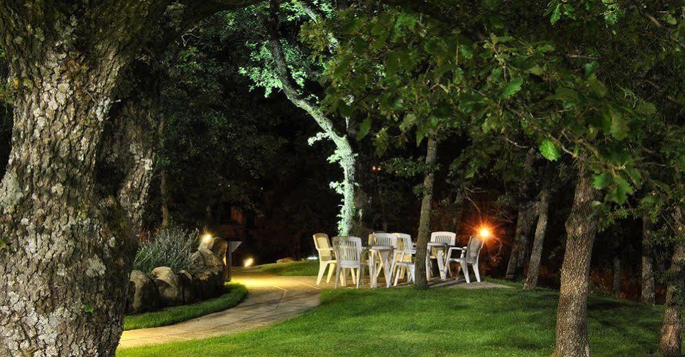 Terre Gialle - La Val D'Orcia Nascosta カステル・デル・ピアーノ エクステリア 写真